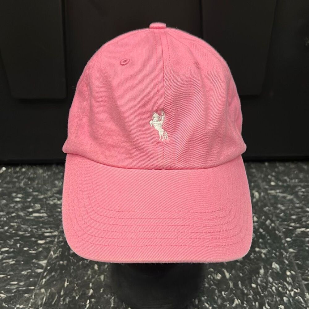 Texans Pink Hat Cap Adjustable Embroidered Cowboy Horse Bronco Richardson R55